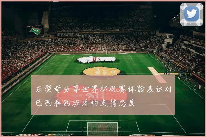 东契奇分享世界杯观赛体验表达对巴西和西班牙的支持态度